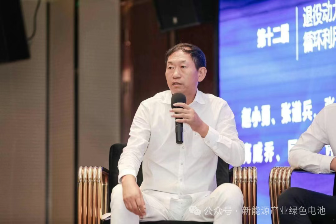 巨峰教授讲课 全览——锂电池回收再利用峰会精彩表现